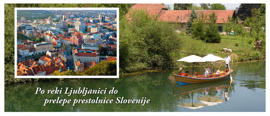 Organiziramo prevoze s pletno na Bledu in Ljubljanici.